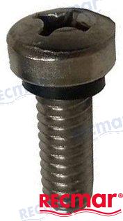 Screw