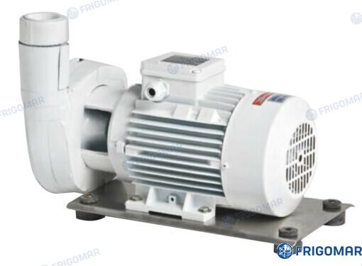 Frigomar® SEA WATER PUMP B-C(M) 41/1E (0,75 KW) FRI714