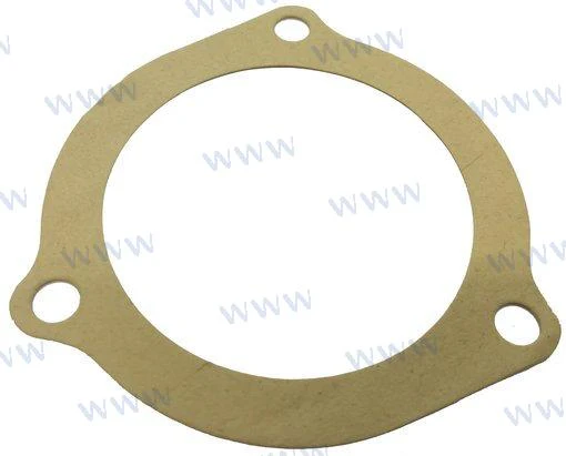 Sherwood Pumps® water pump lid cover gasket 12855