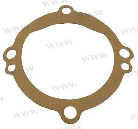 Sherwood Pumps® water pump lid cover gasket 10931