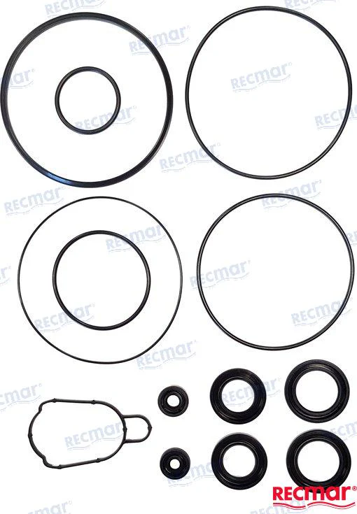 GEAR CASE SEAL 25700-93L00
