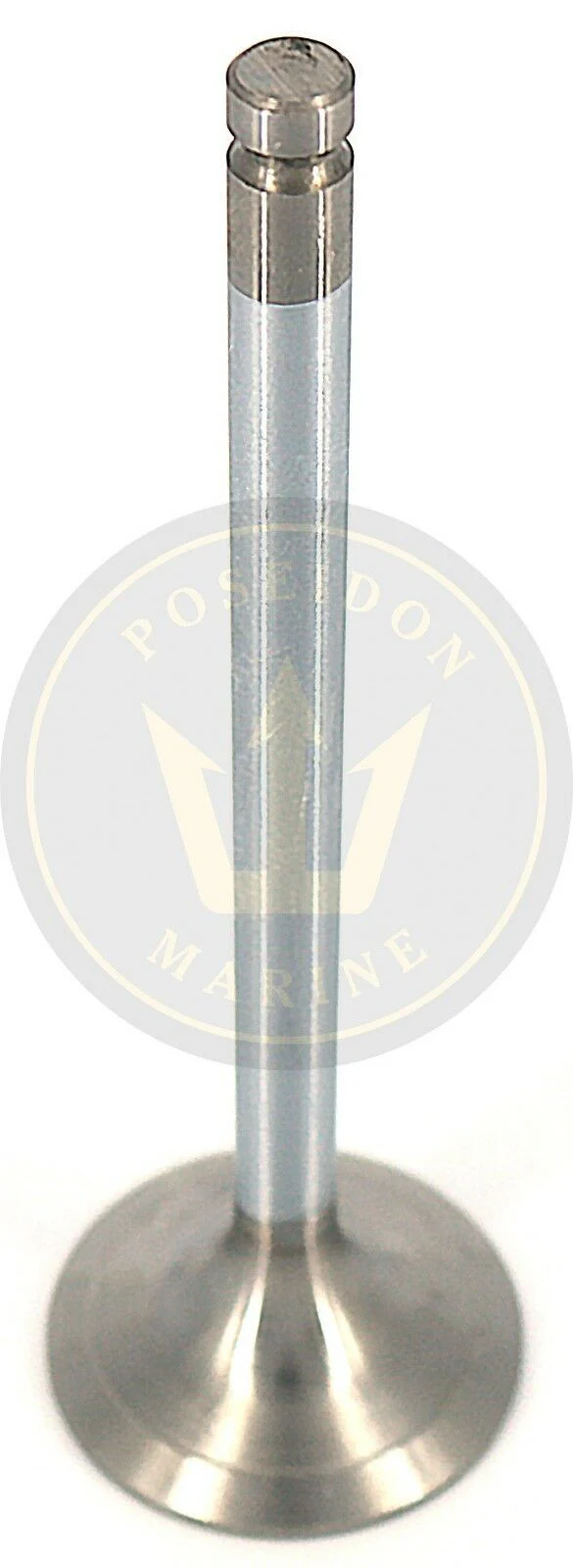 Recmar® Intake valve Volvo Penta D31 D41 D42 D43 838637