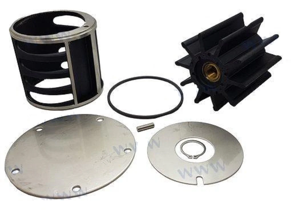 Sherwood® 23234 water pump repair kit (minor) G3001X Cat 304-7616