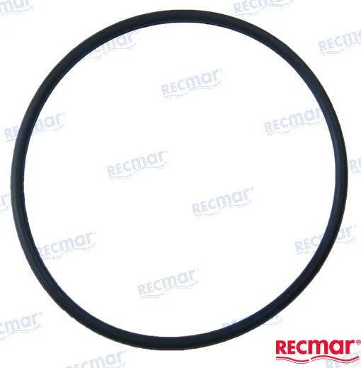 O'RING 968971