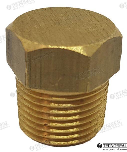 PLUG BRASS FOR ANODE ONAN 02031TP