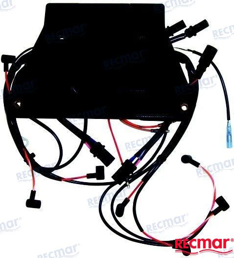 CDI Unit Johnson/Evinrude 250-300 hp