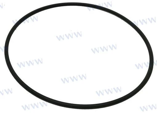 Sherwood Pumps® 12231 water pump cover o-ring