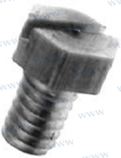 Screw raw waterpump