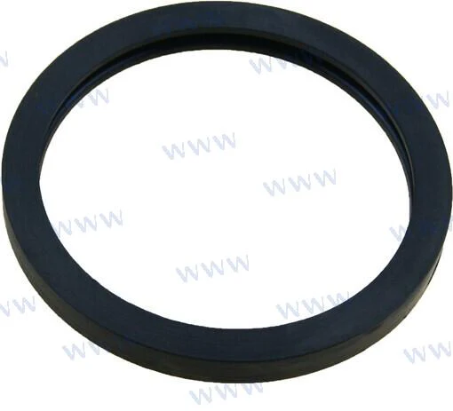 SEAL THERMOSTAT 25-8071341