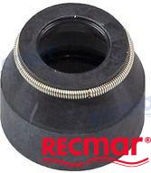 Seal for shift shaft
